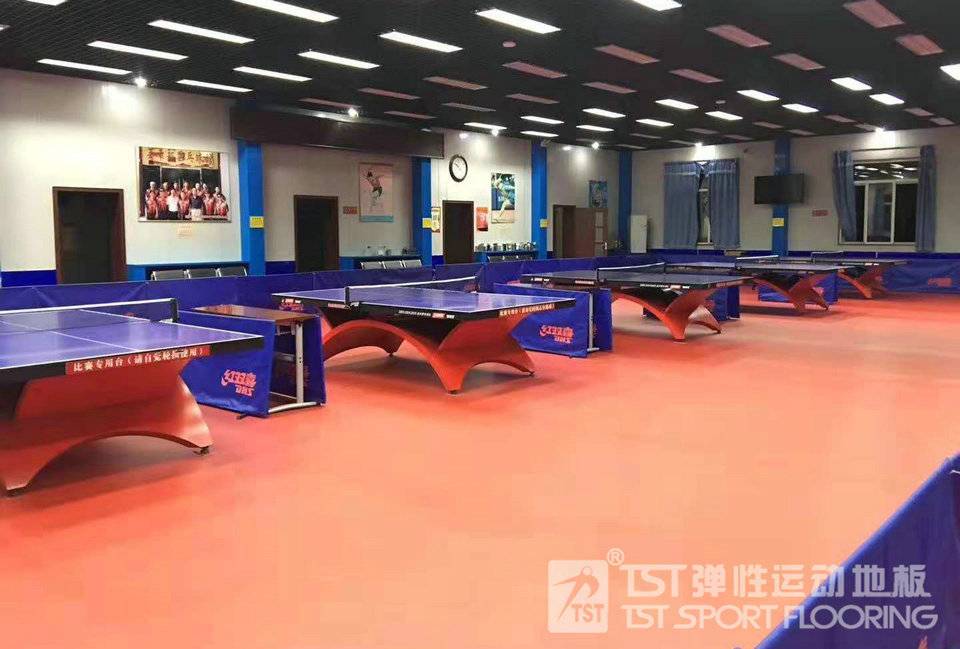 北京豐臺區高檔乒乓球館